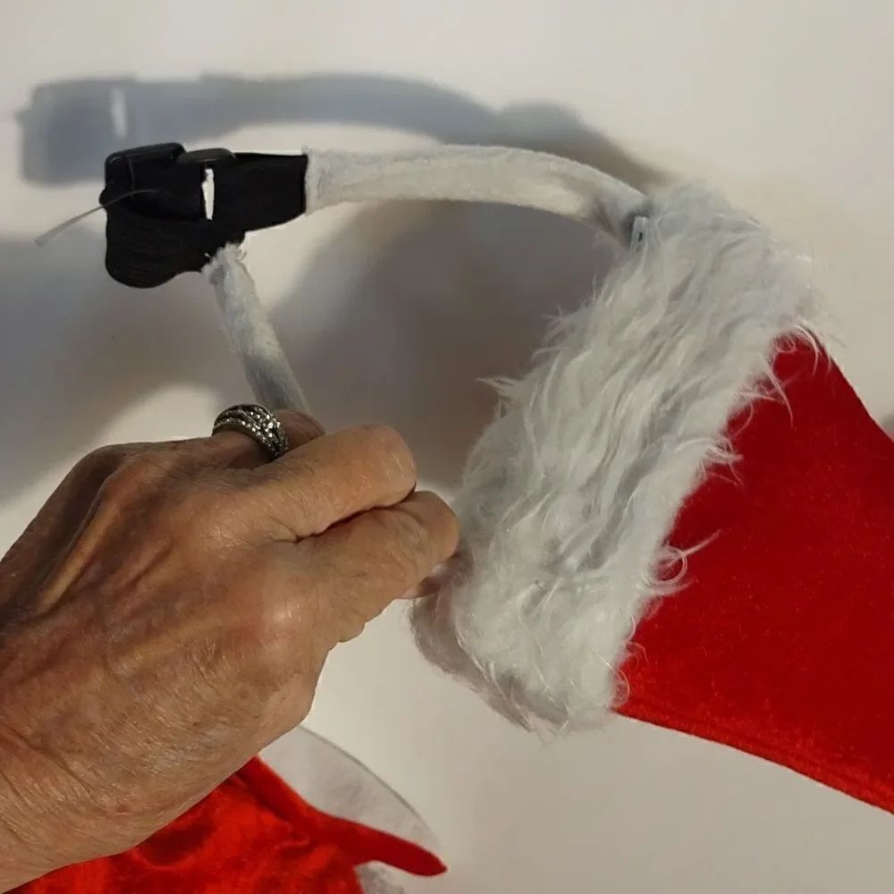 Dog "Santa' Suit - Picture 5 of 7